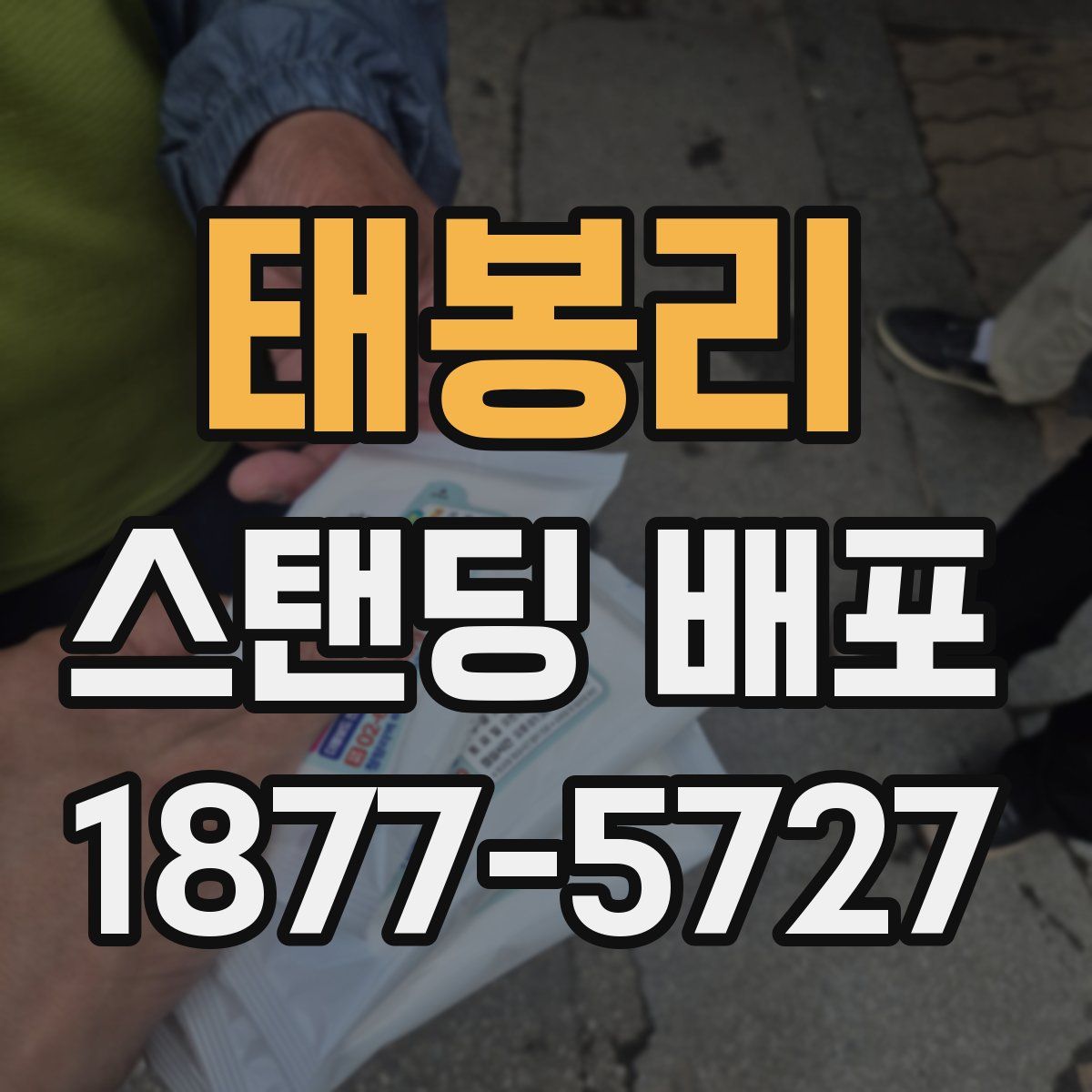 태봉리 스탠딩 배포
