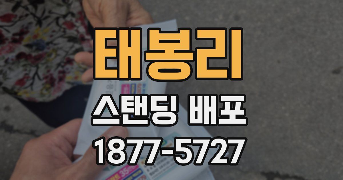 태봉리 스탠딩 배포
