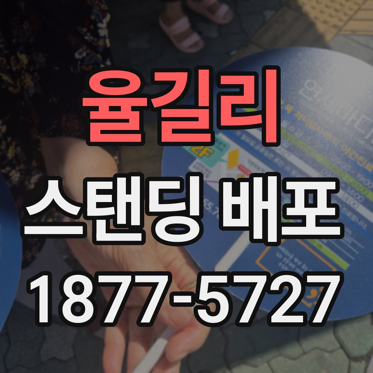 율길리 스탠딩 배포