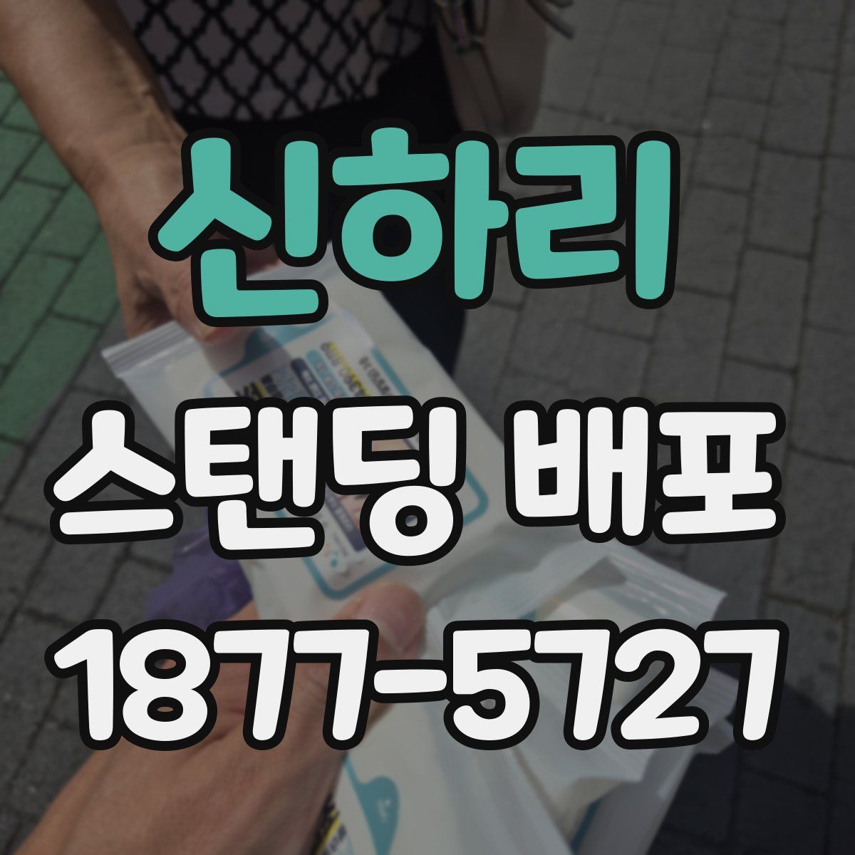 신하리 스탠딩 배포