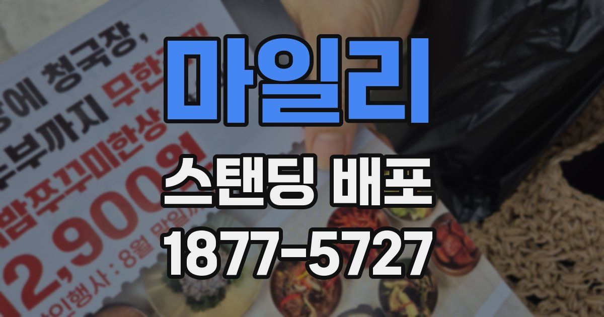마일리 스탠딩 배포