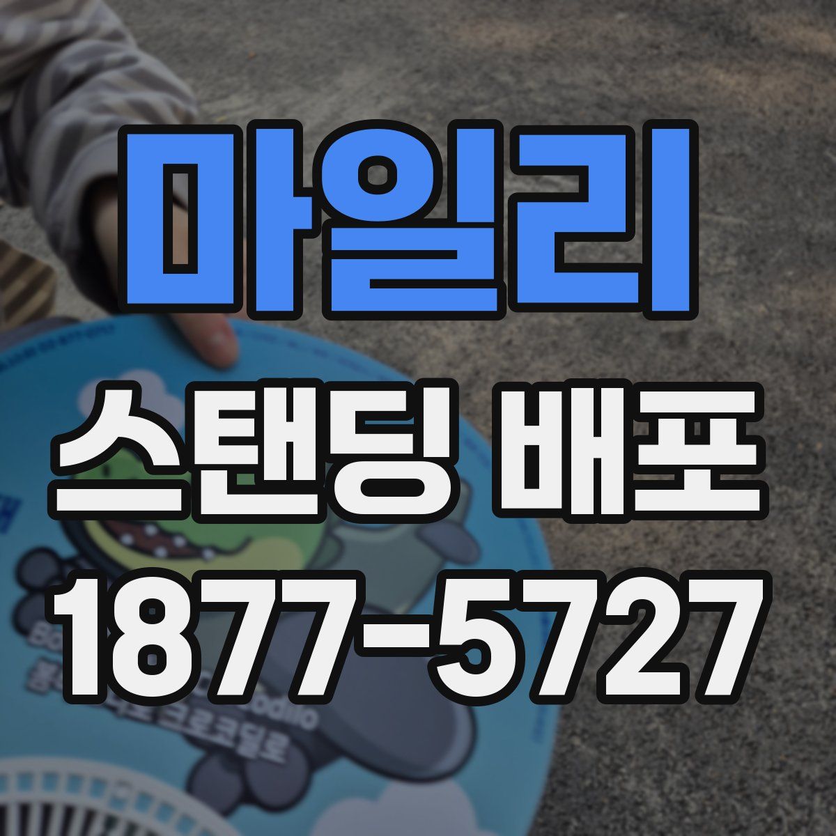 마일리 스탠딩 배포