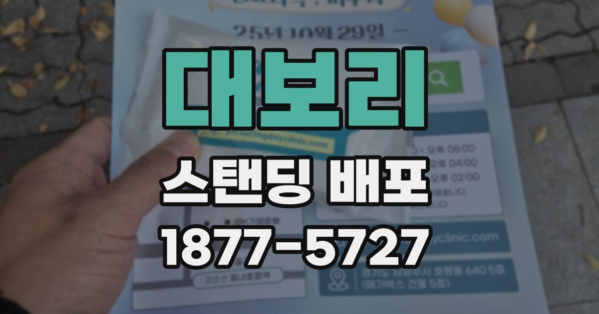대보리 스탠딩 배포