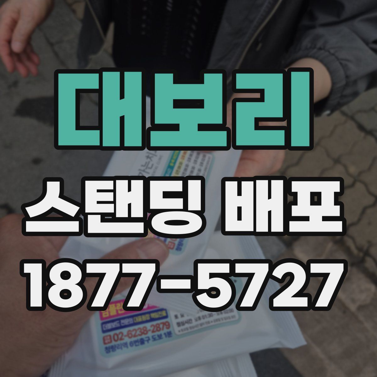 대보리 스탠딩 배포