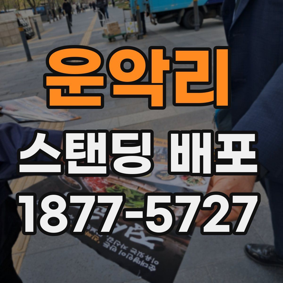 운악리 스탠딩 배포