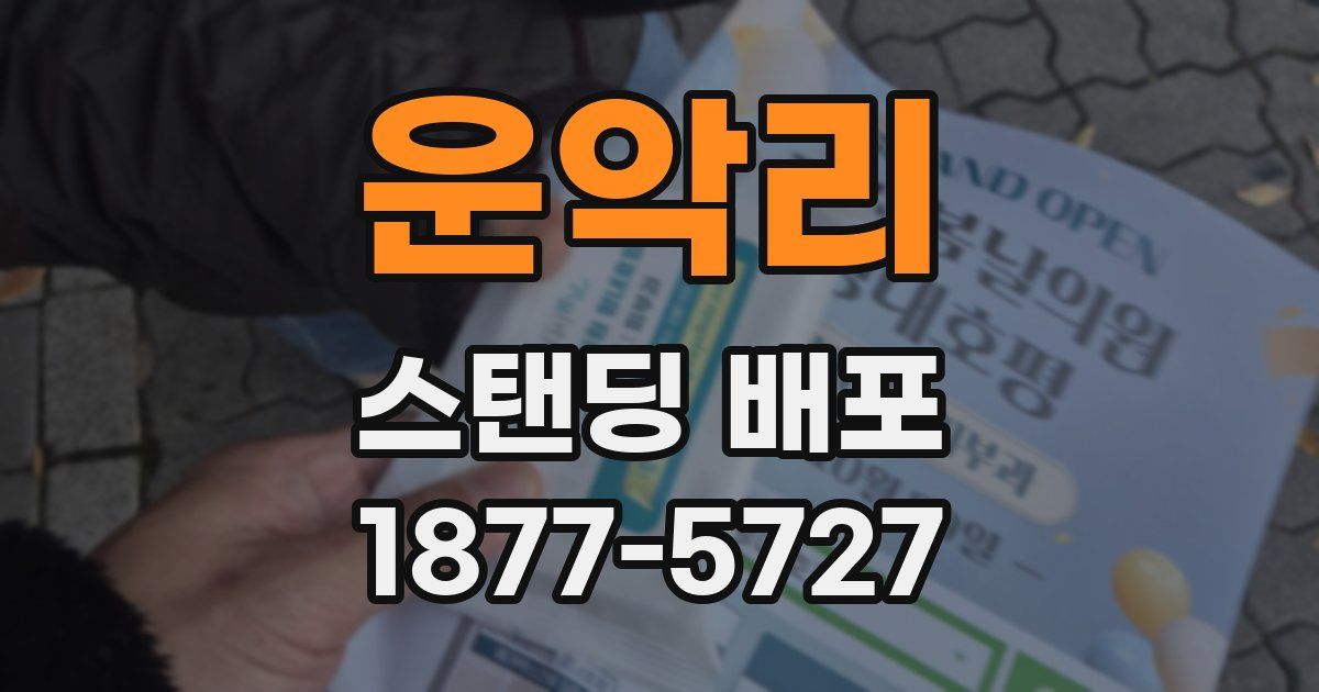 운악리 스탠딩 배포