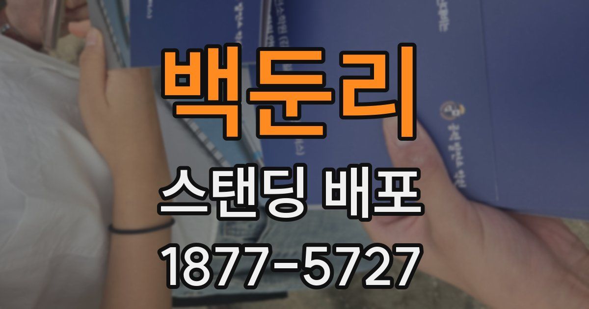 백둔리 스탠딩 배포