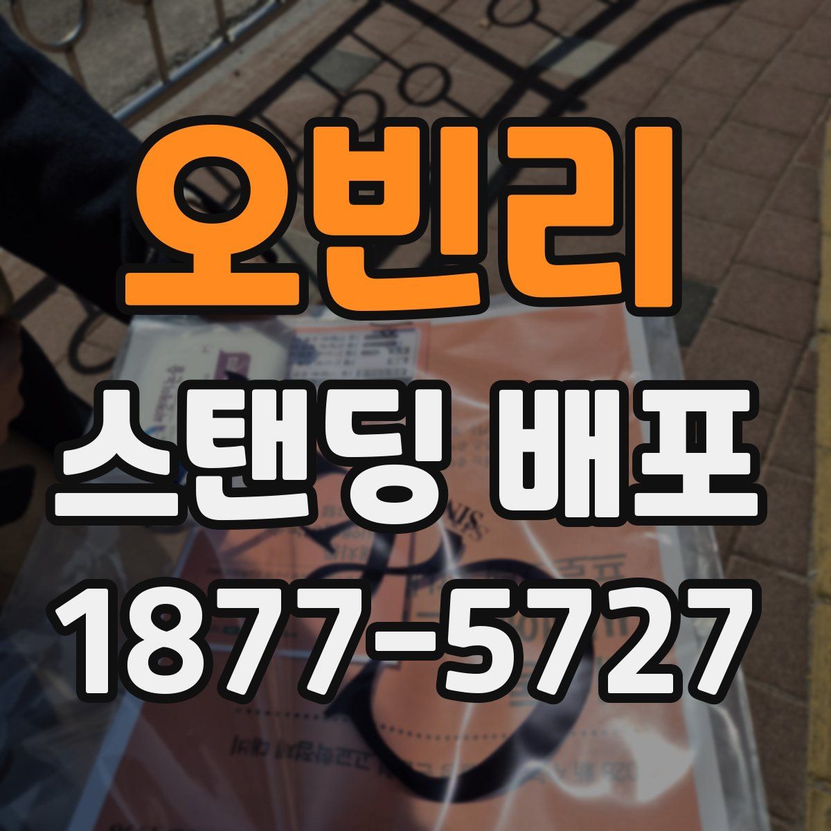 오빈리 스탠딩 배포