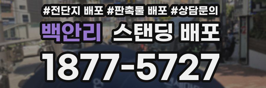 백안리 스탠딩 배포