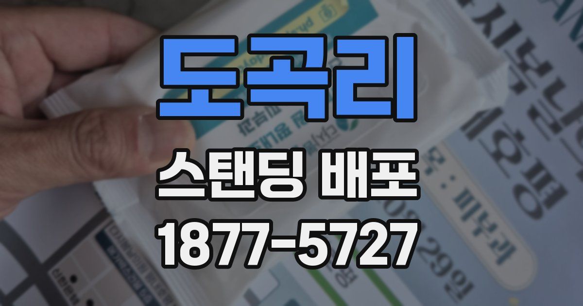 도곡리 스탠딩 배포