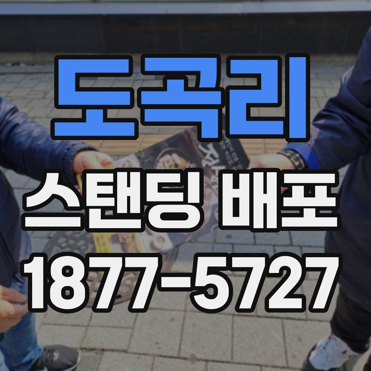 도곡리 스탠딩 배포