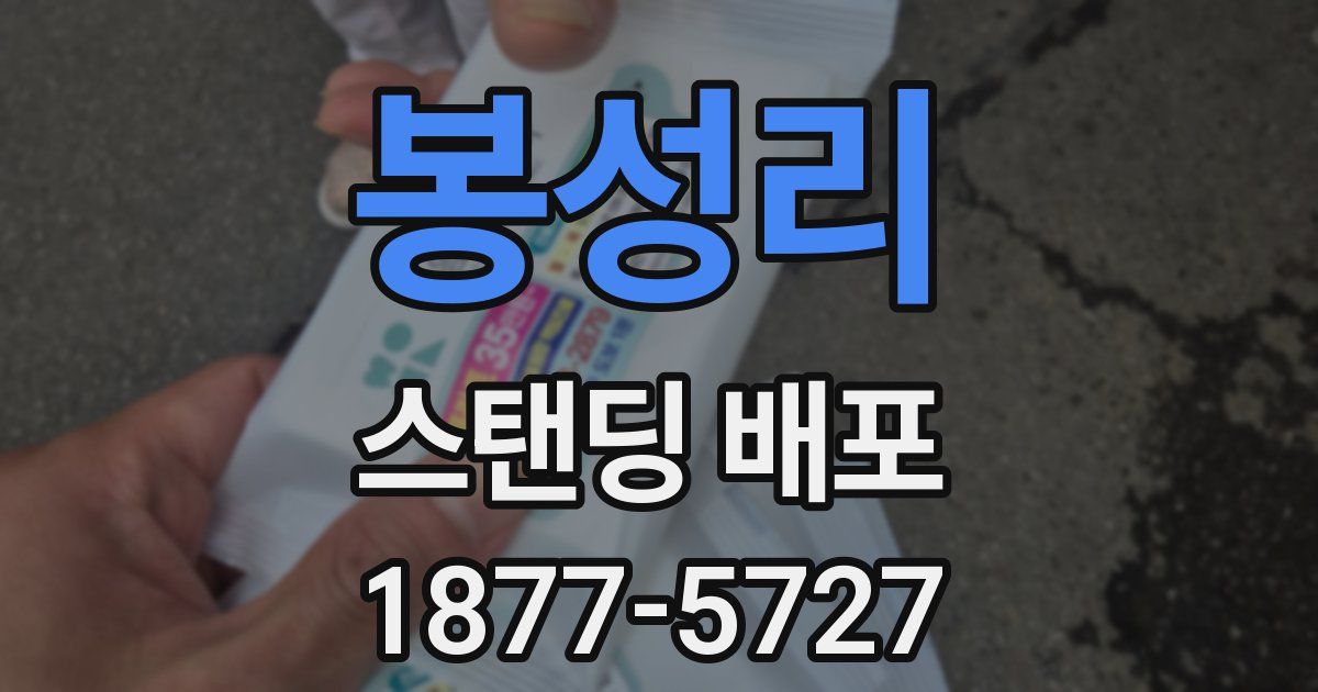 봉성리 스탠딩 배포