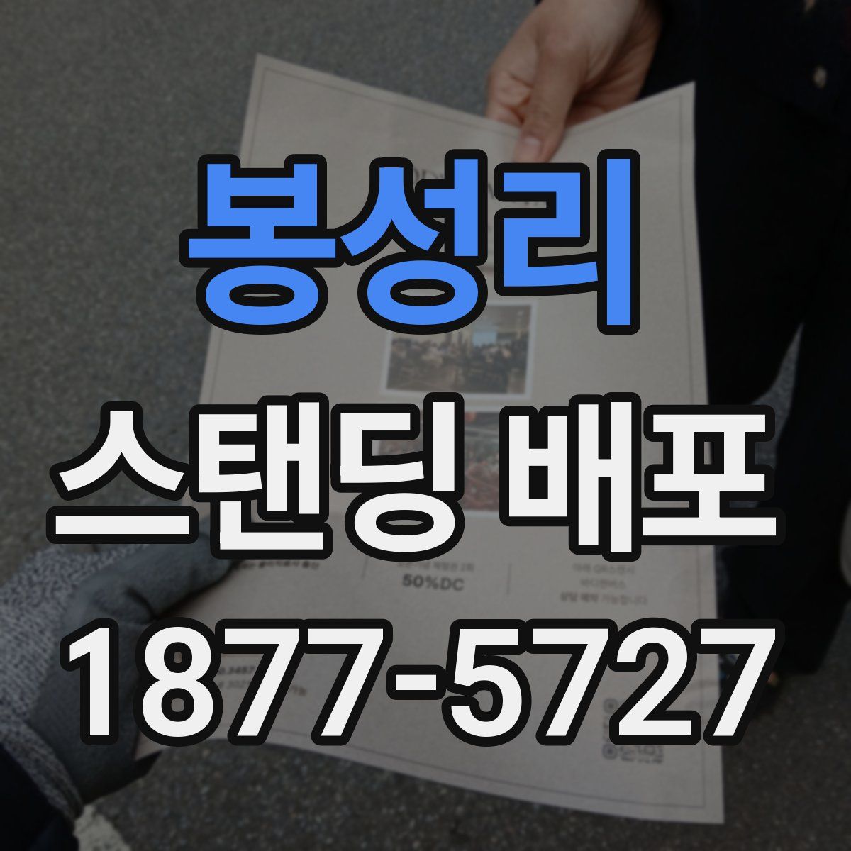 봉성리 스탠딩 배포