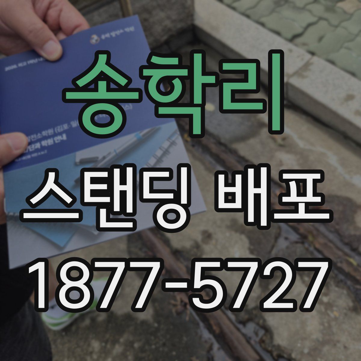 송학리 스탠딩 배포