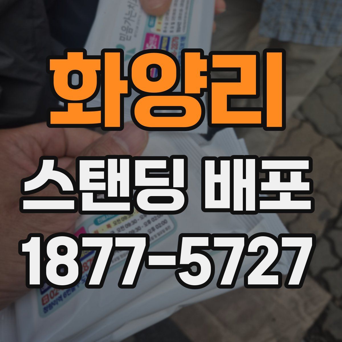 화양리 스탠딩 배포