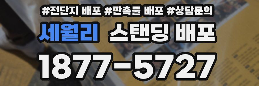 세월리 스탠딩 배포