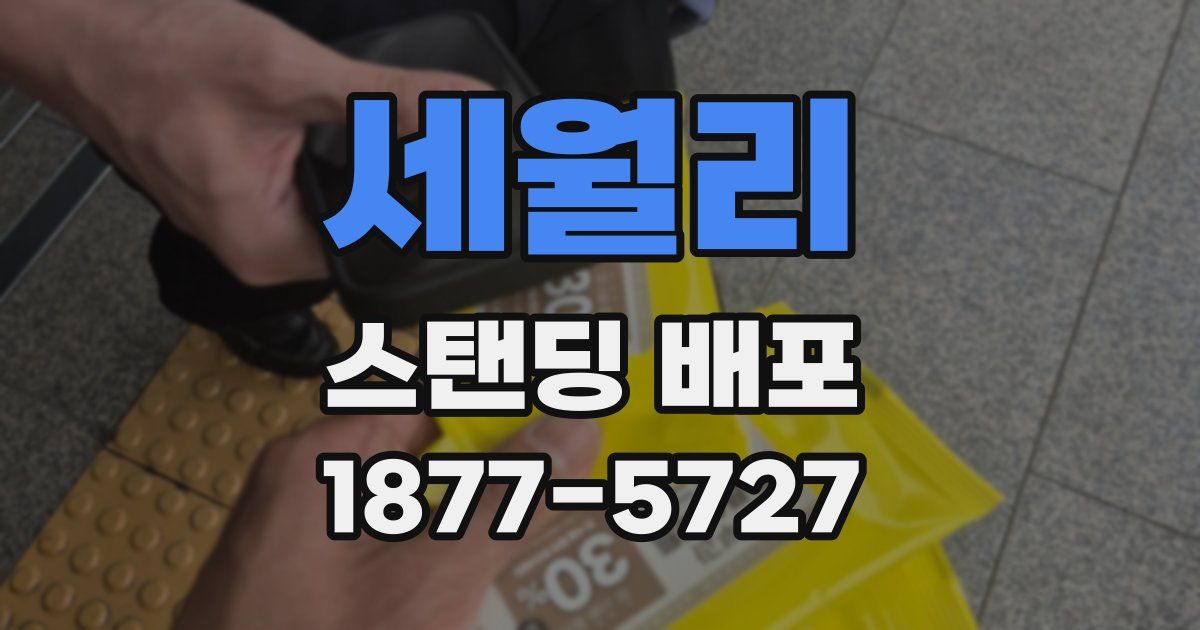 세월리 스탠딩 배포