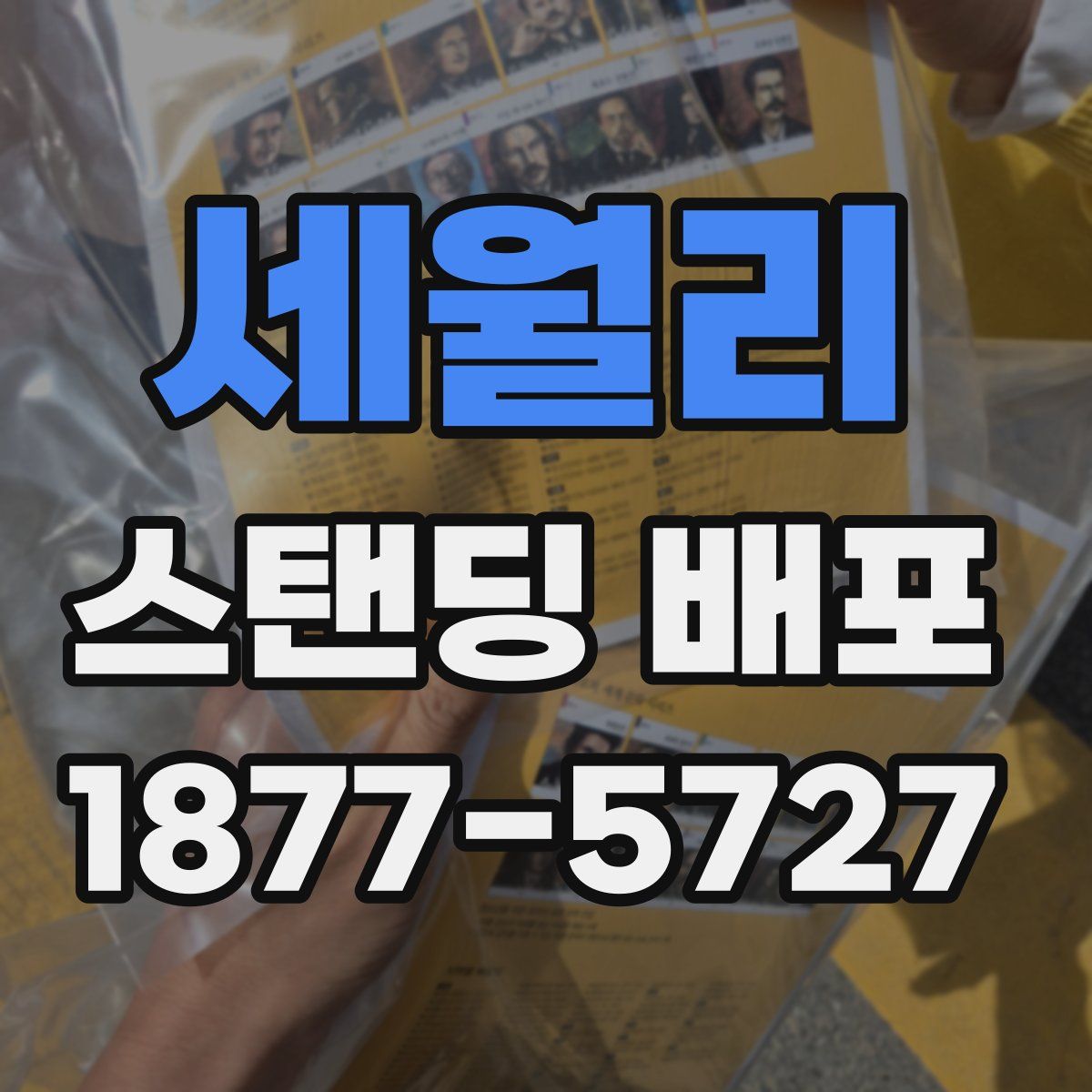 세월리 스탠딩 배포