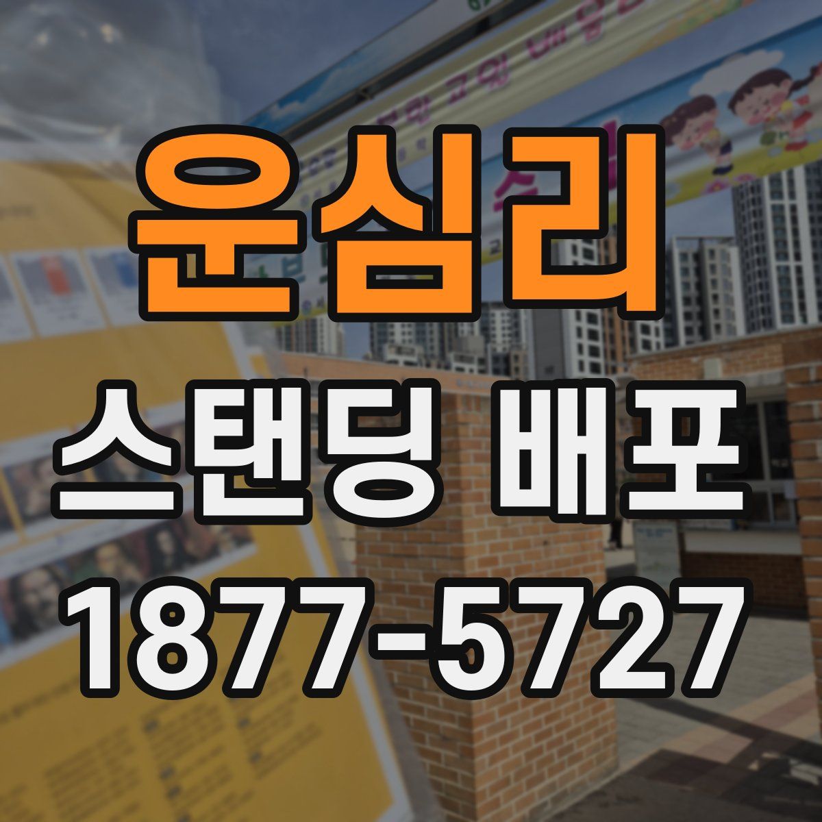 운심리 스탠딩 배포