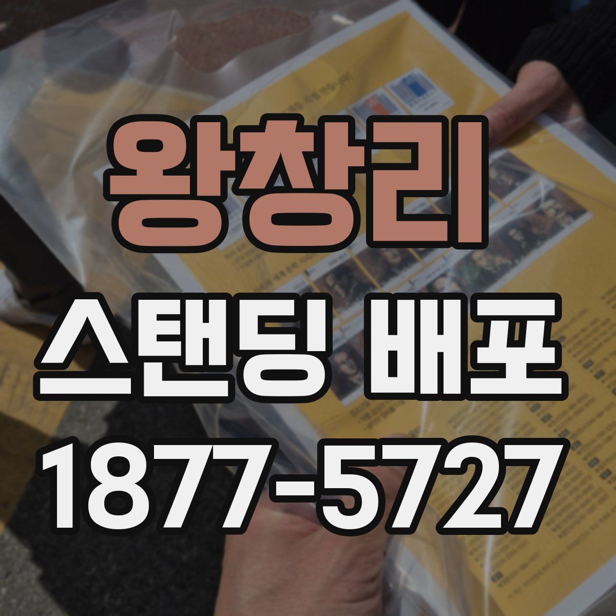 왕창리 스탠딩 배포