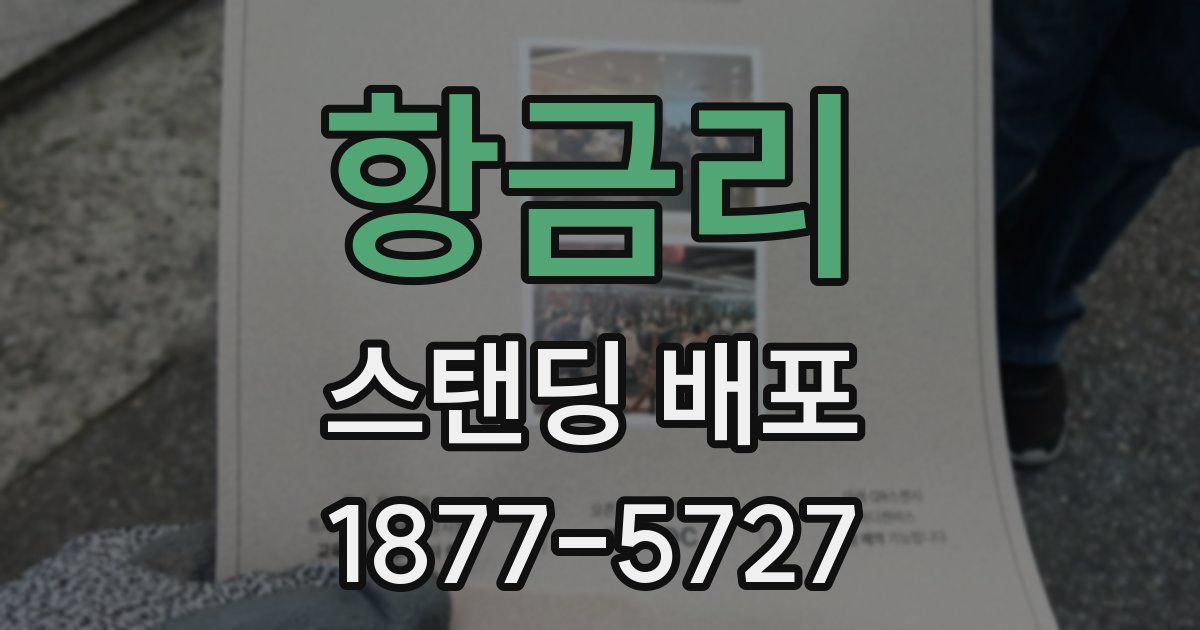 항금리 스탠딩 배포
