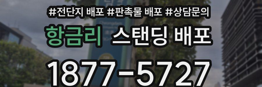 항금리 스탠딩 배포