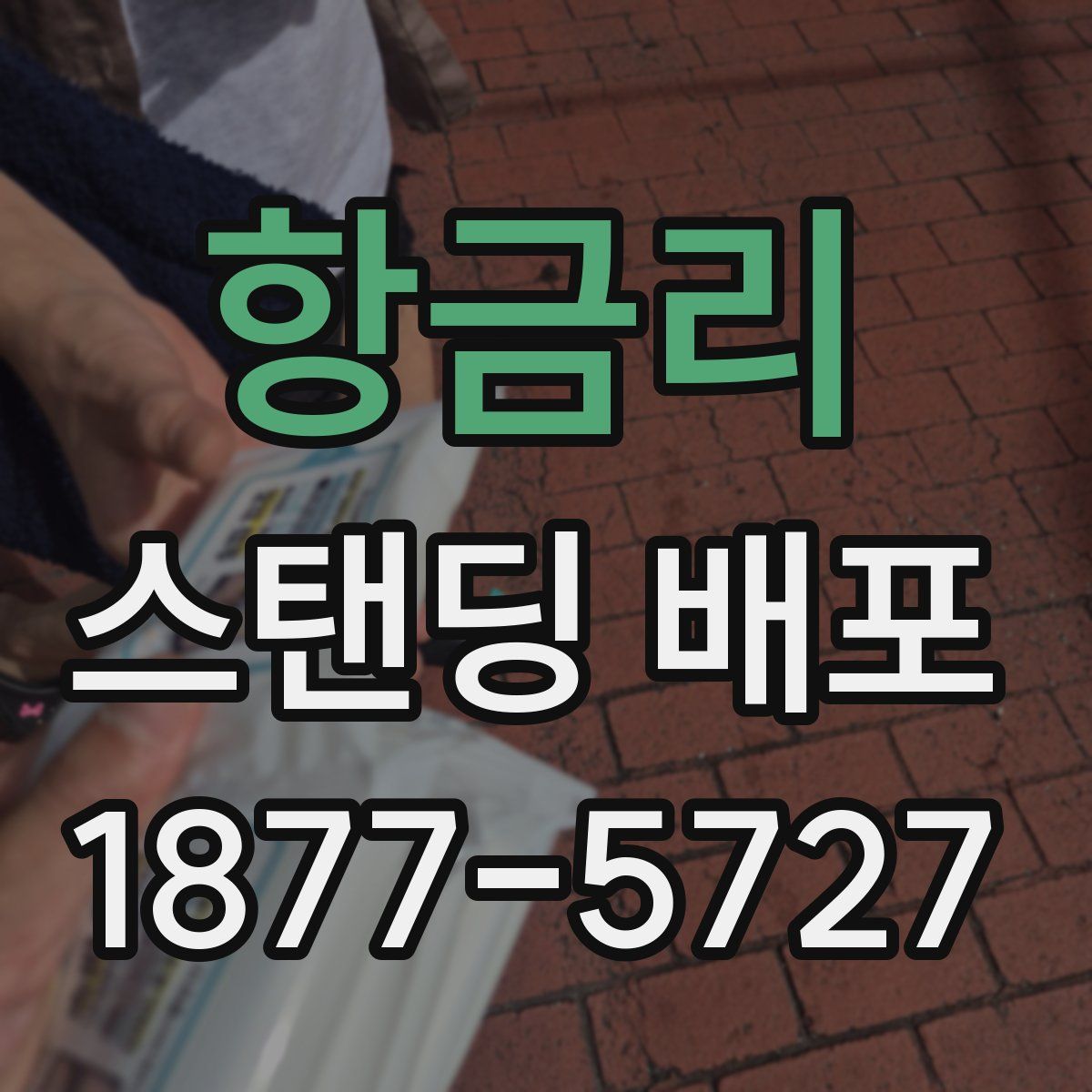 항금리 스탠딩 배포