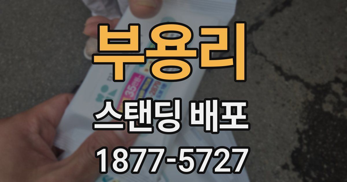 부용리 스탠딩 배포