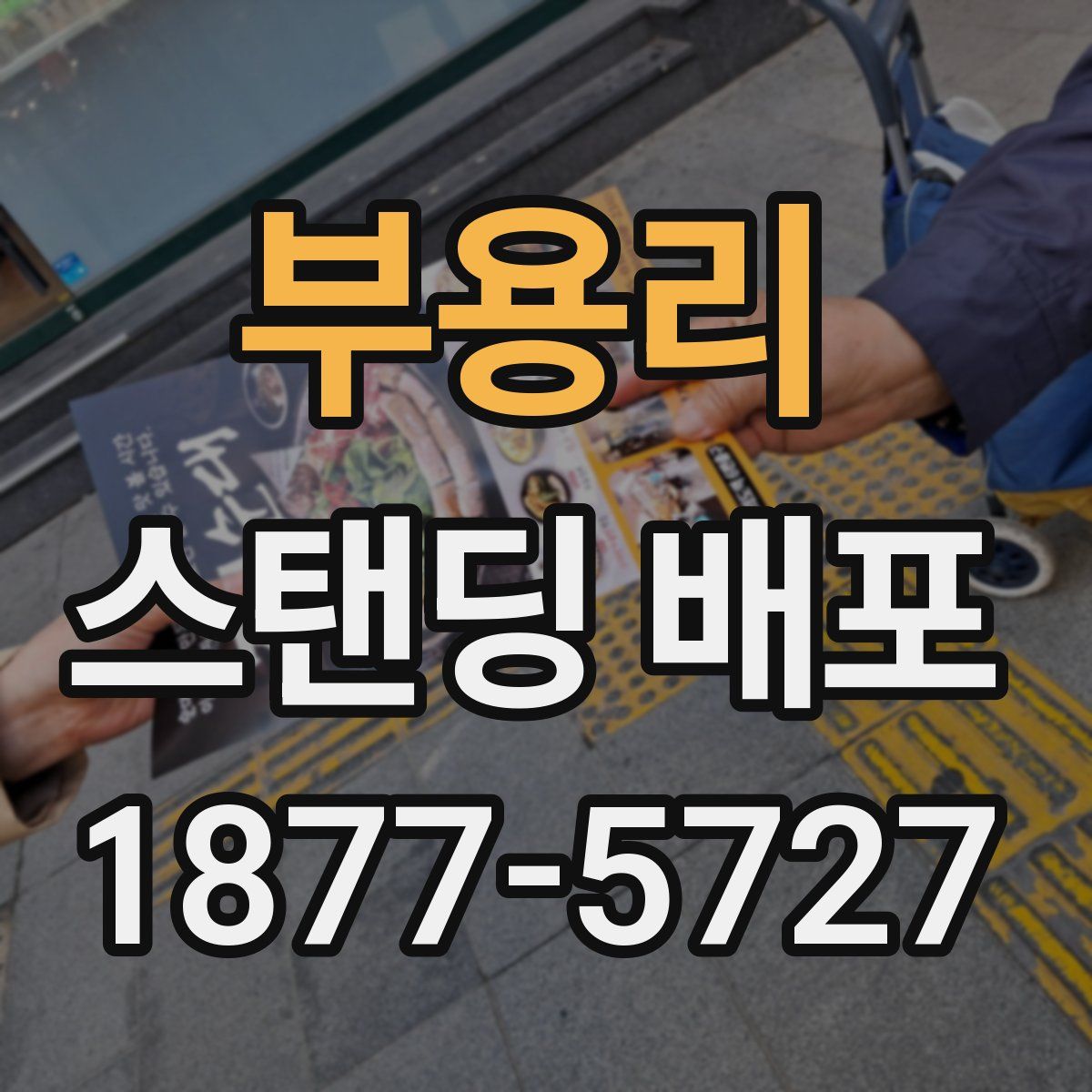 부용리 스탠딩 배포