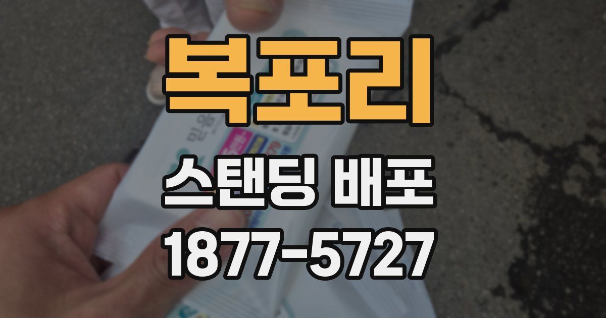 복포리 스탠딩 배포