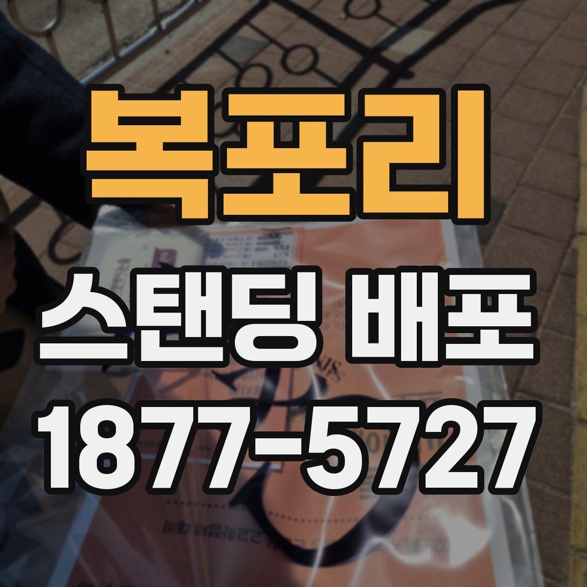 복포리 스탠딩 배포