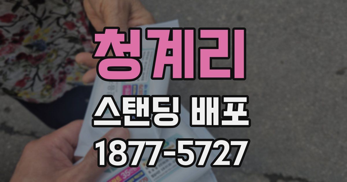 청계리 스탠딩 배포