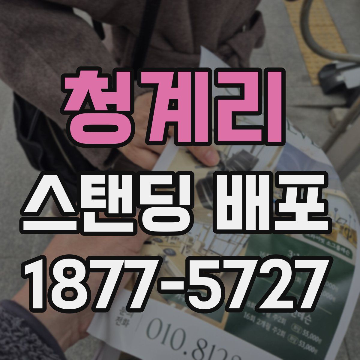 청계리 스탠딩 배포