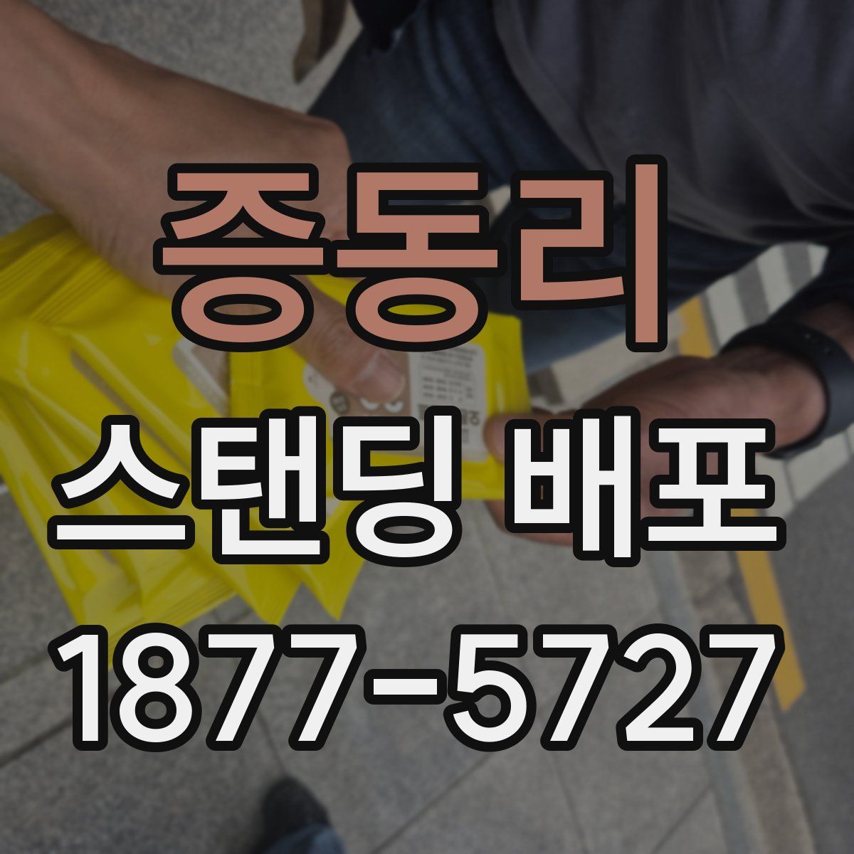 증동리 스탠딩 배포