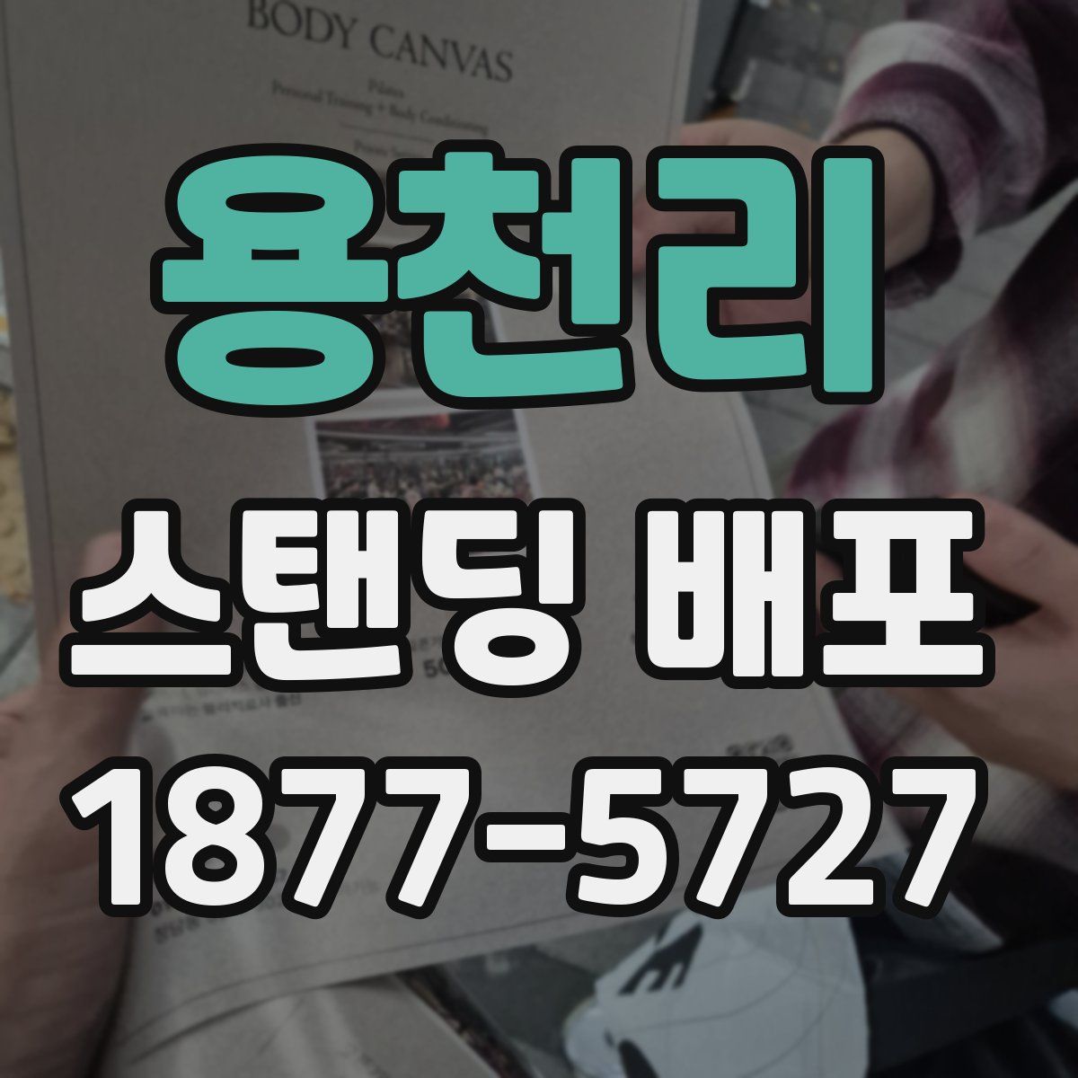 용천리 스탠딩 배포