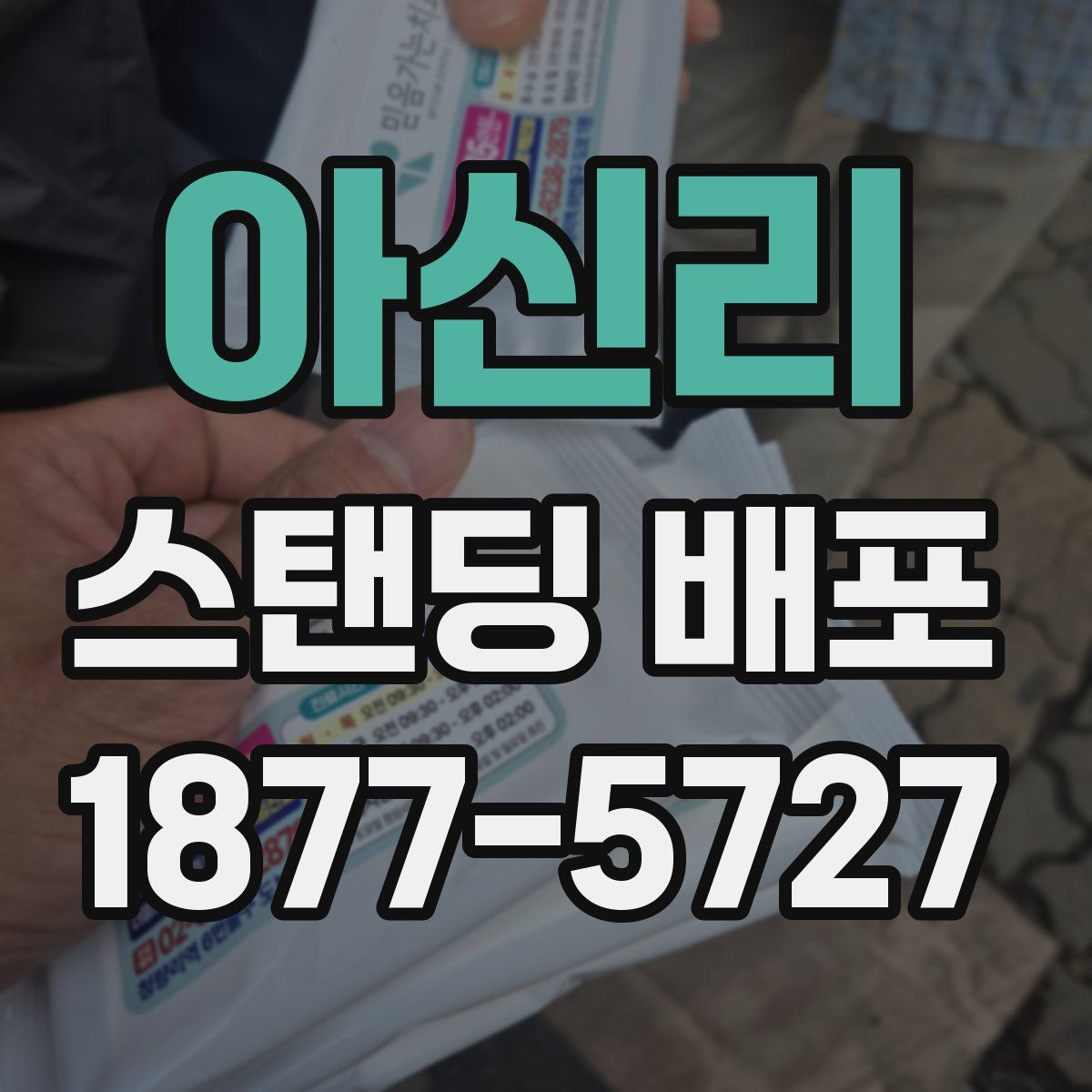 아신리 스탠딩 배포