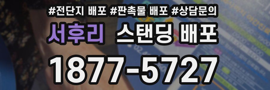 서후리 스탠딩 배포