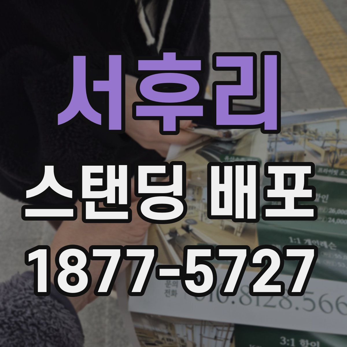 서후리 스탠딩 배포