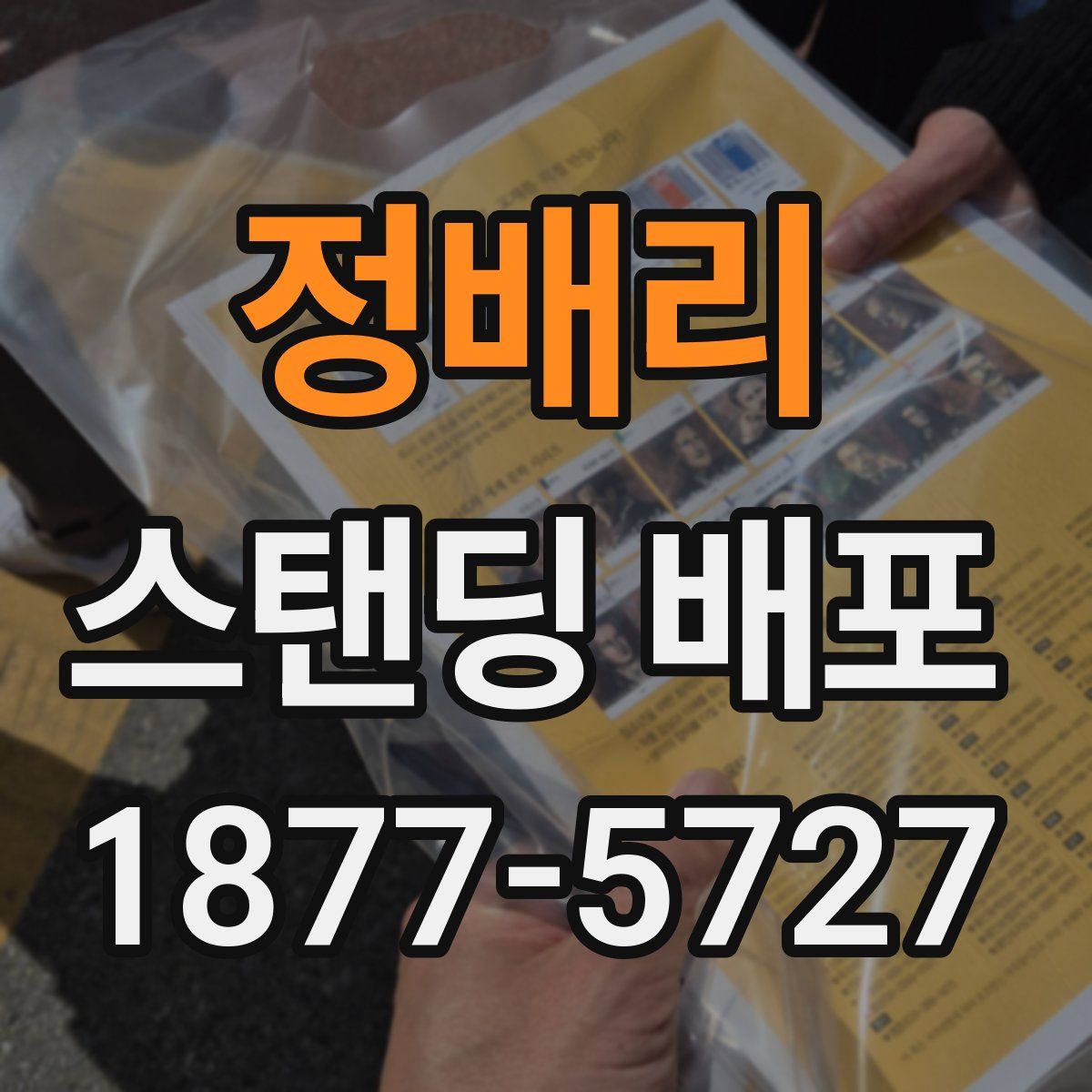 정배리 스탠딩 배포