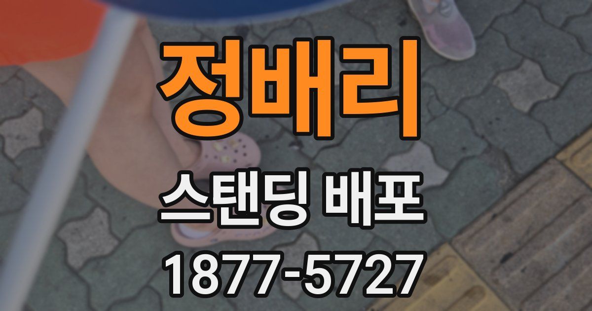 정배리 스탠딩 배포