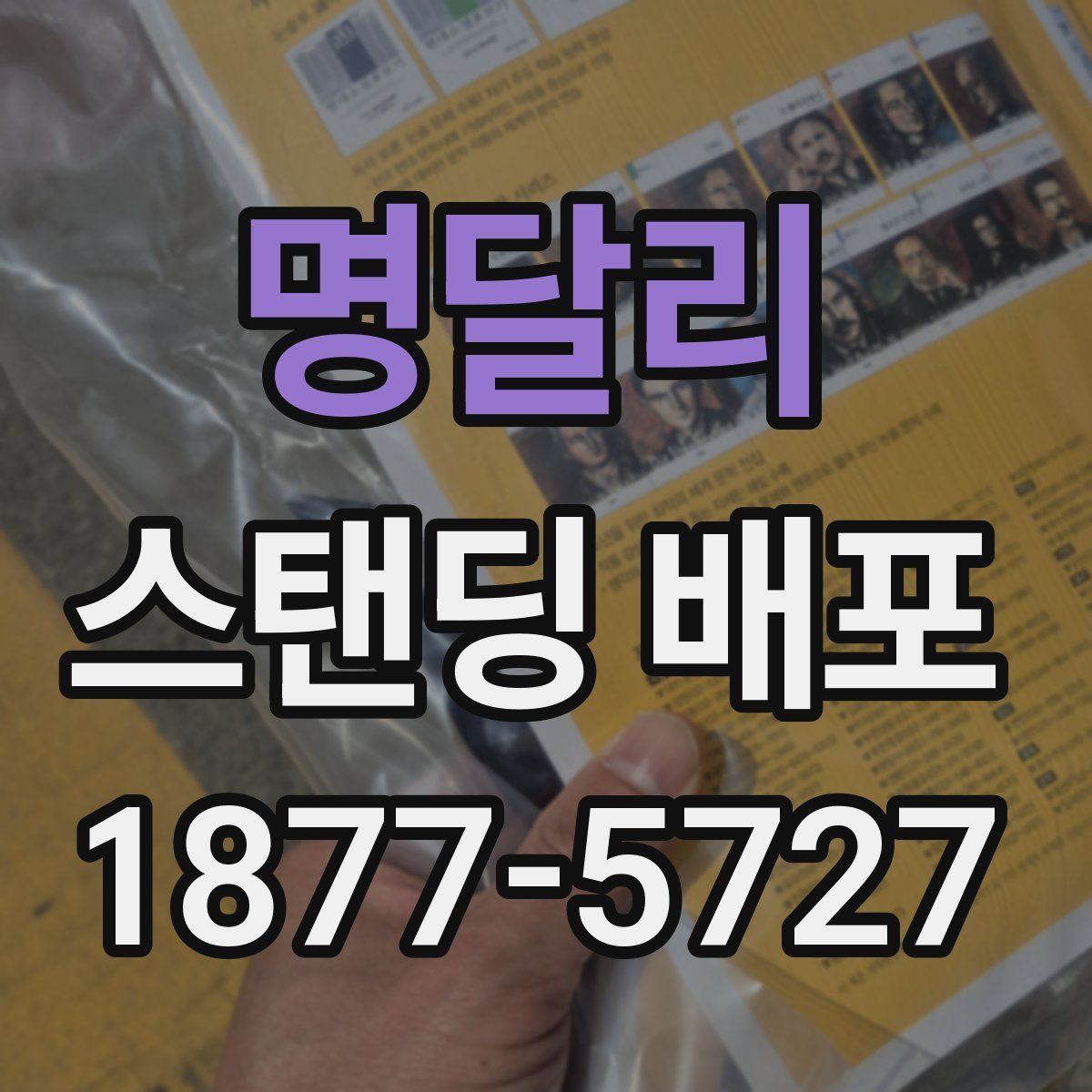 명달리 스탠딩 배포
