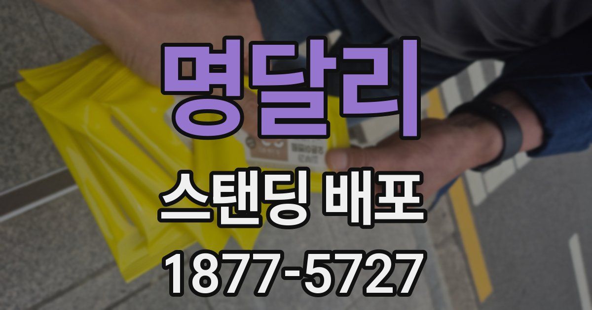 명달리 스탠딩 배포