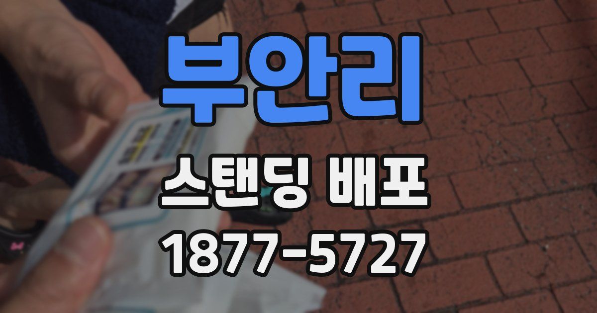 부안리 스탠딩 배포