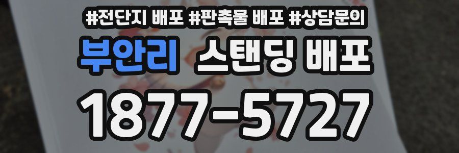 부안리 스탠딩 배포