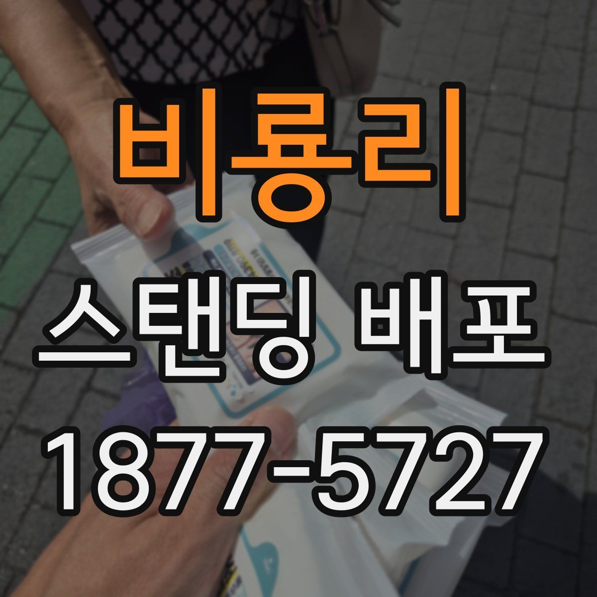비룡리 스탠딩 배포