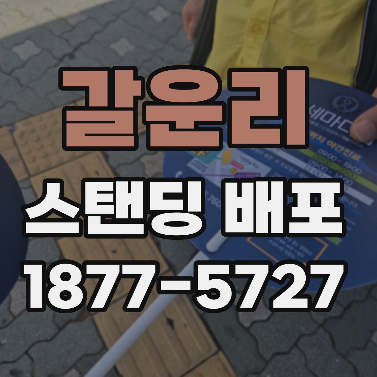갈운리 스탠딩 배포