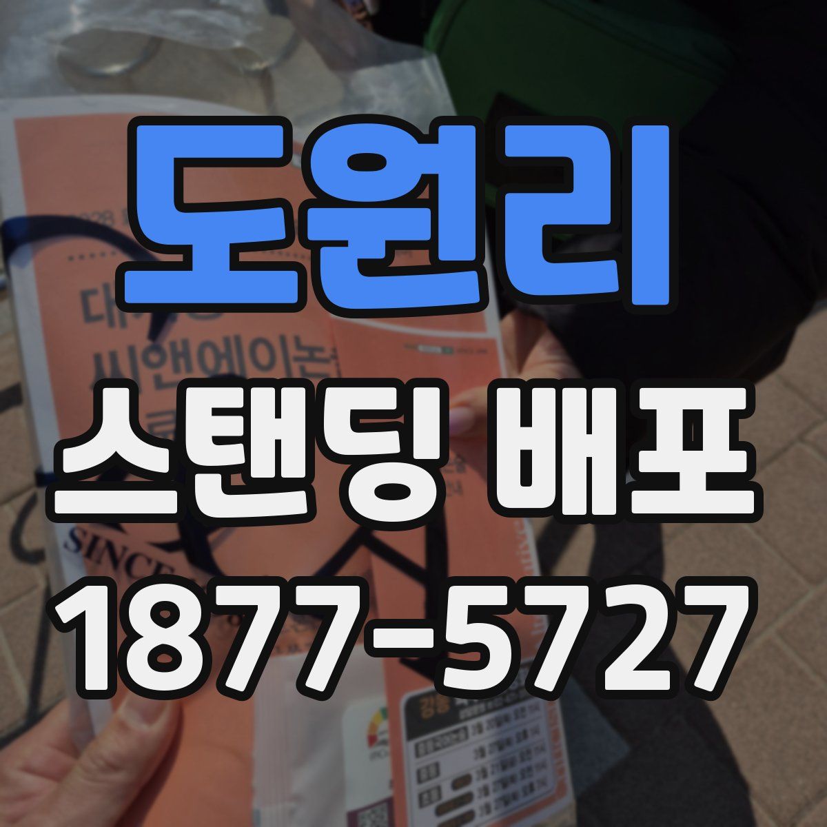도원리 스탠딩 배포
