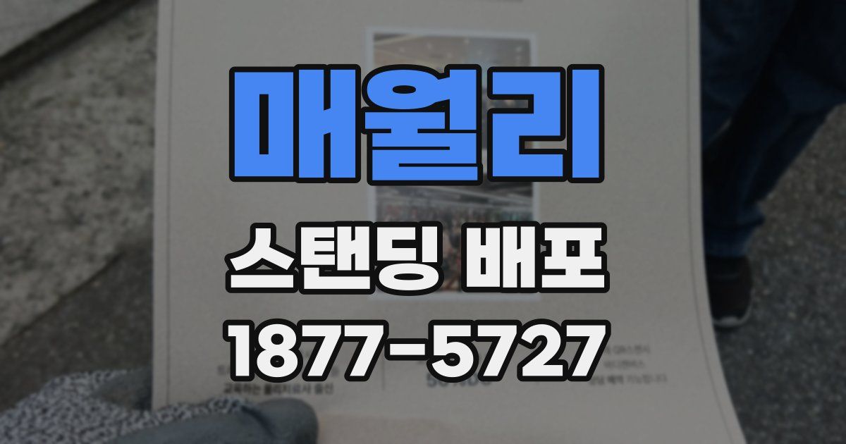 매월리 스탠딩 배포