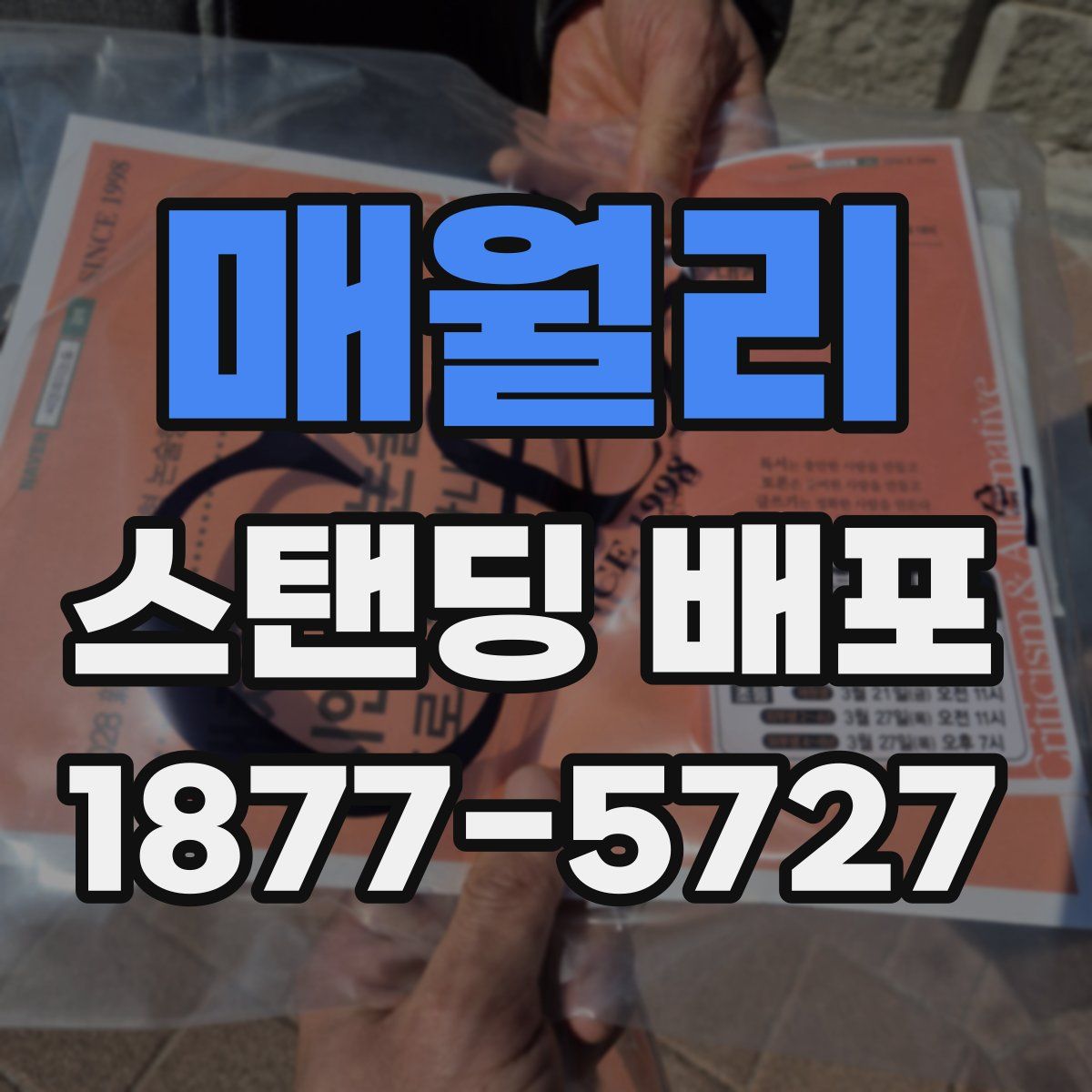 매월리 스탠딩 배포
