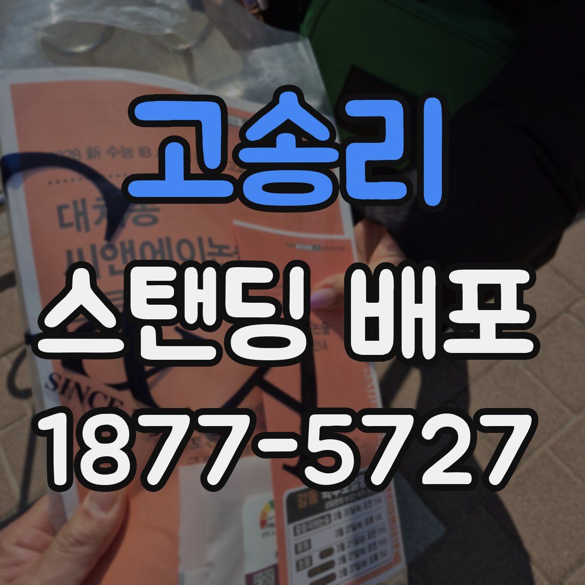 고송리 스탠딩 배포